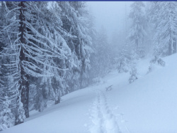 Правила поведения в снегопад и метель